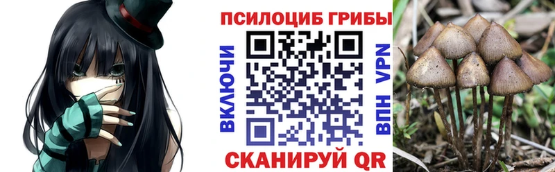 Галлюциногенные грибы MAGIC MUSHROOMS  Рудня 